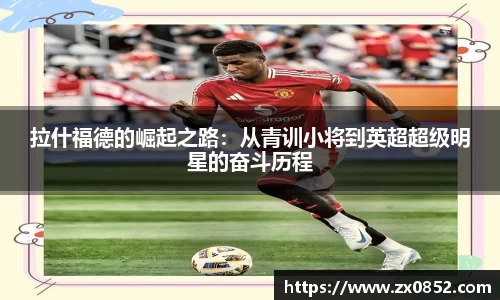 米兰体育官网