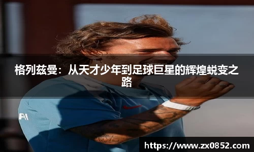 米兰体育官网