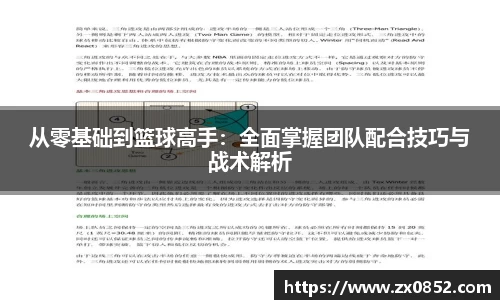 从零基础到篮球高手：全面掌握团队配合技巧与战术解析